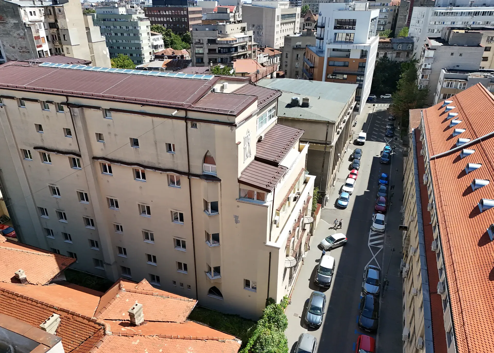 Pitar mos 6- poza drona 4.webp