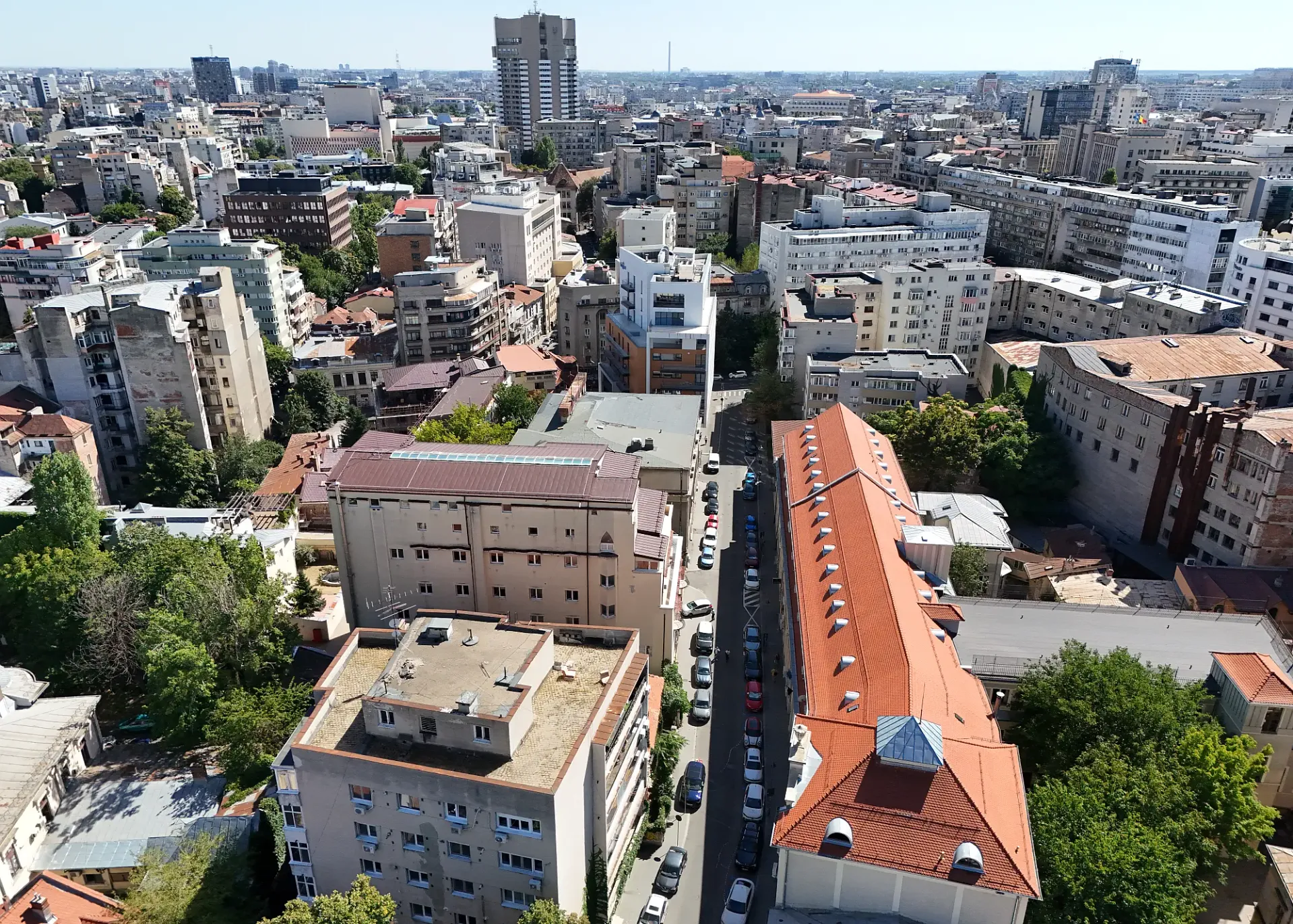 Pitar mos 6- poza drona 5.webp