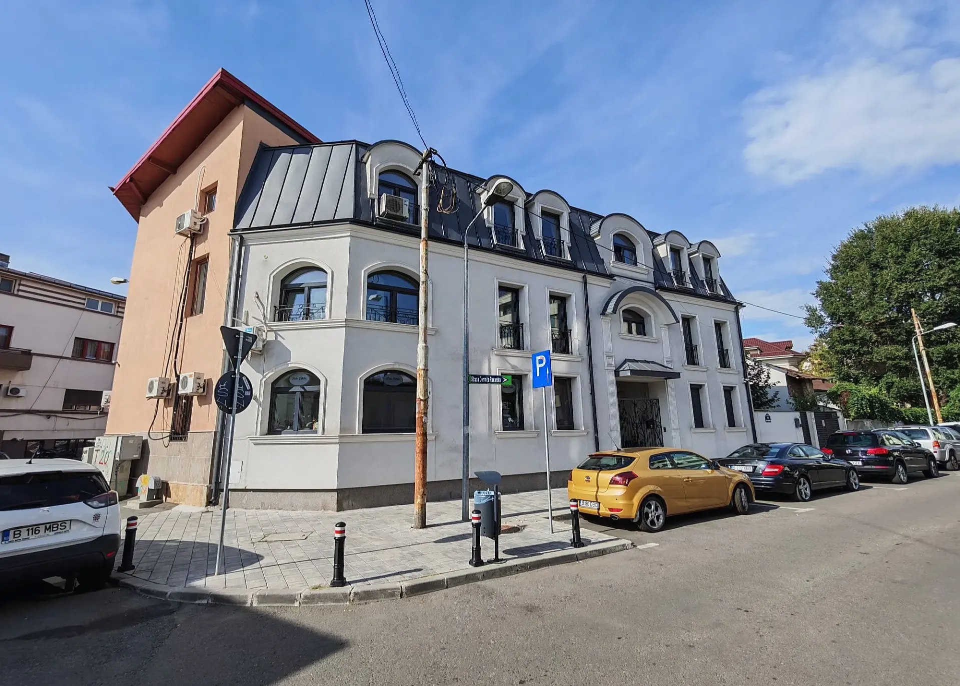 Domnita Ruxandra 1 - poza (3).webp