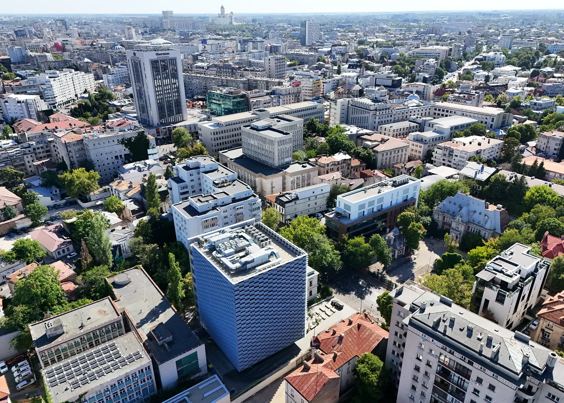 D'Or - poza drona 5.webp