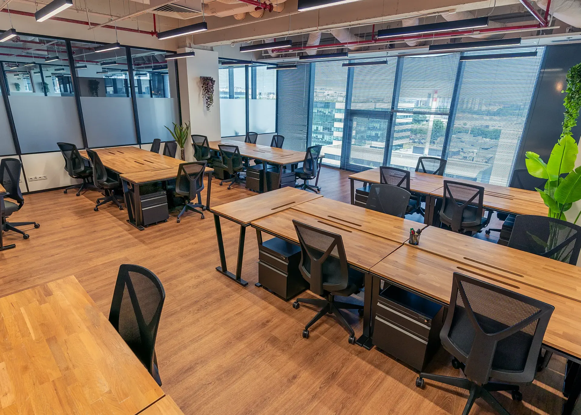 Mindspace - GW Campus - poza (7).webp