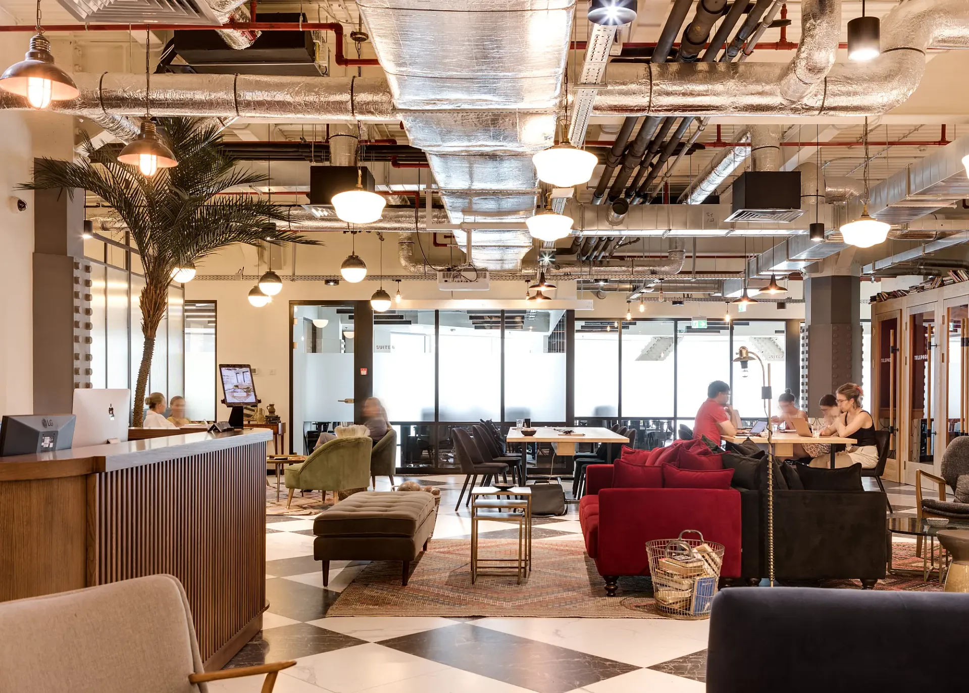 Mindspace - TCI - poza (1).webp