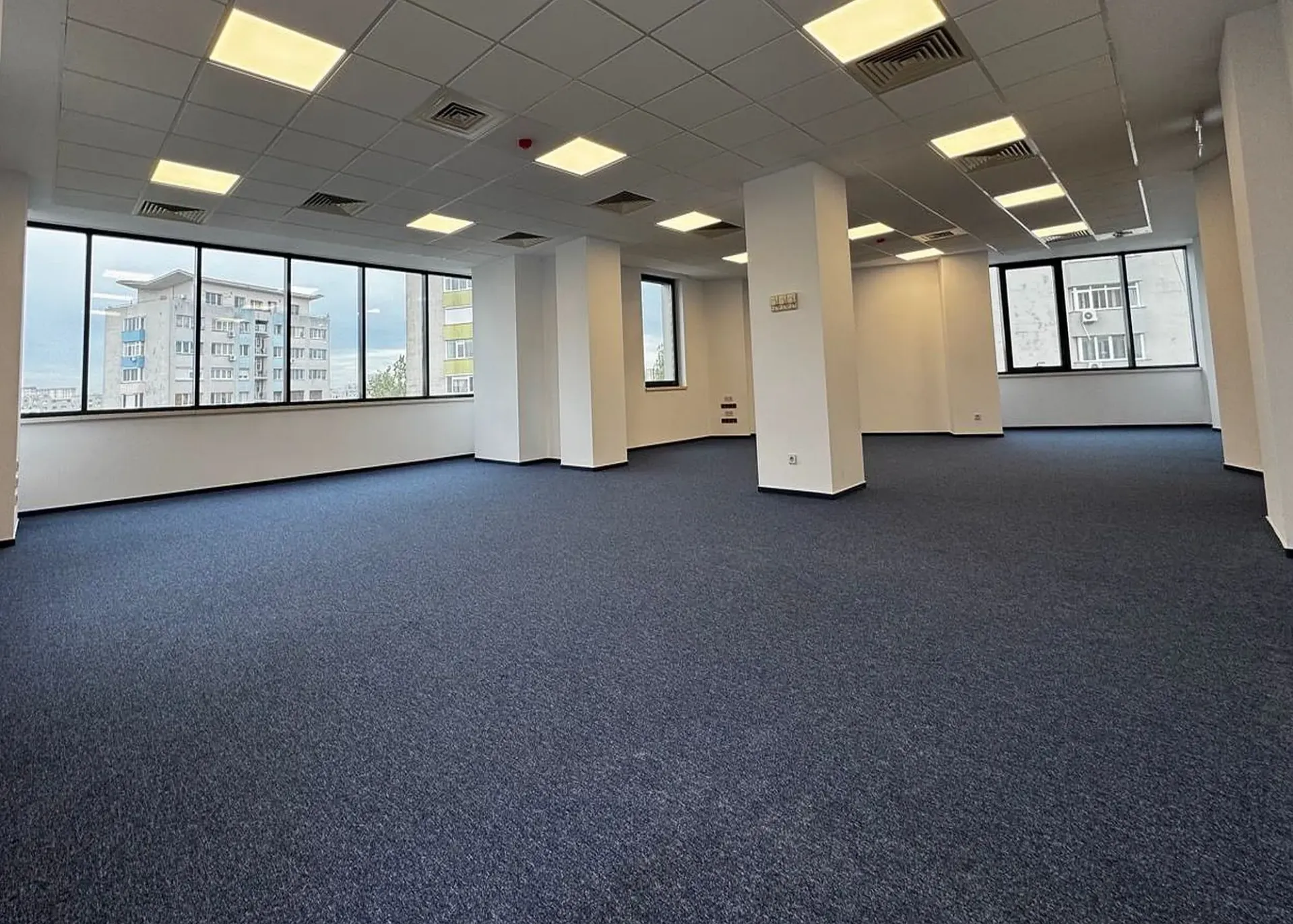 Iptana - poza 8.webp