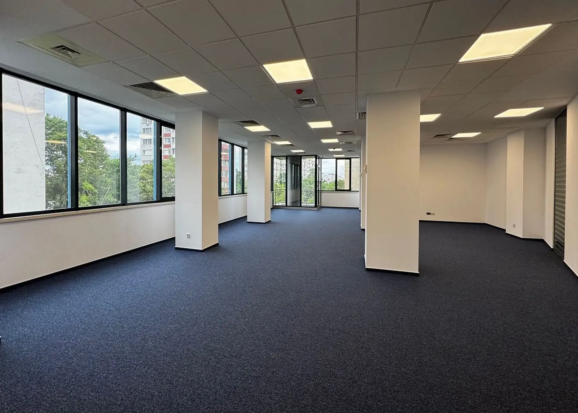 Iptana - poza 9.webp