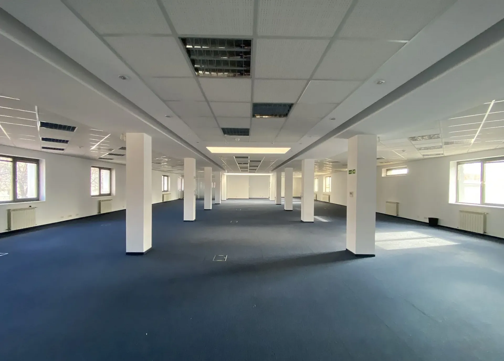 Viilor 14 - poza 12.webp