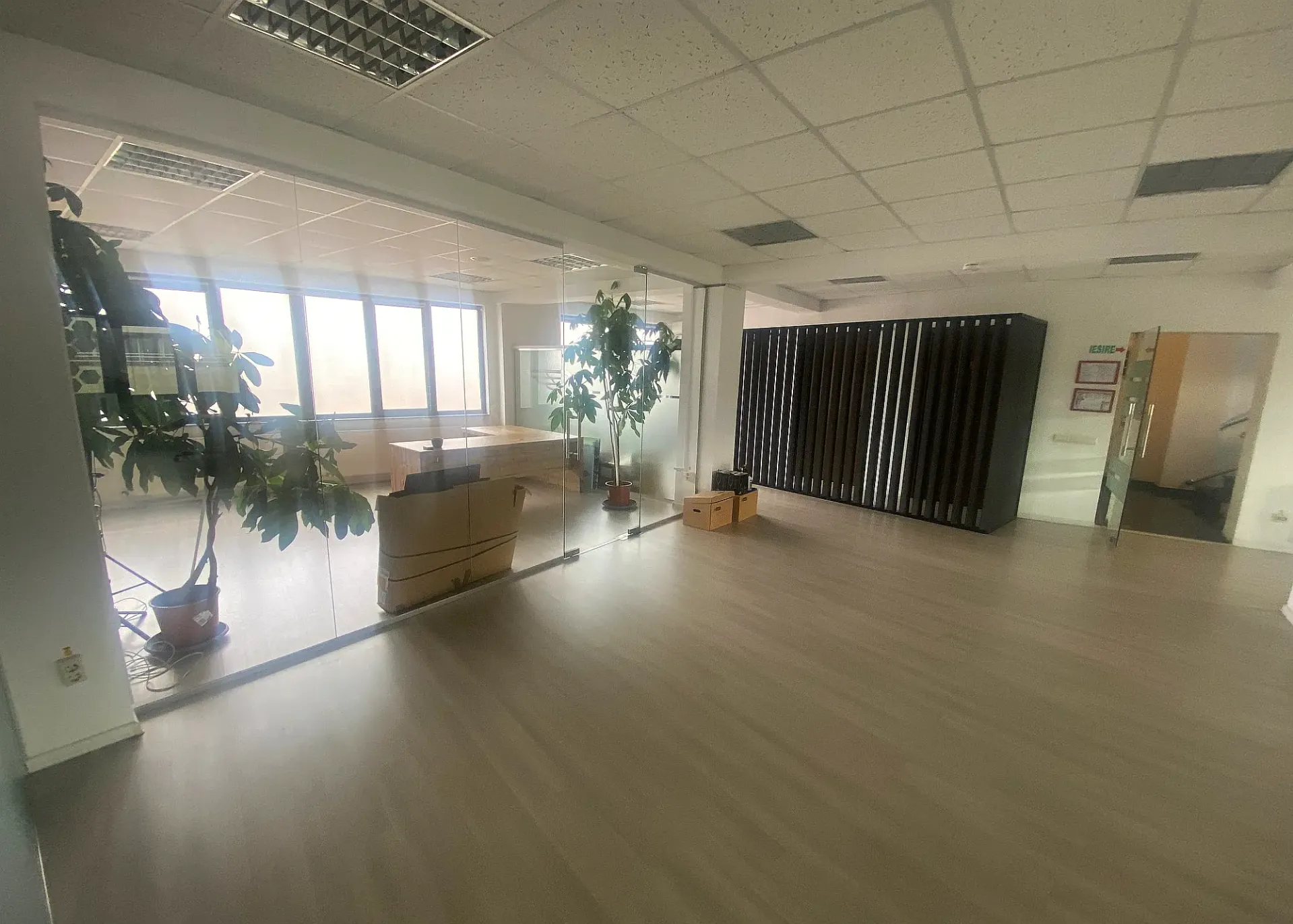 Zarii 9 - poza 5.webp